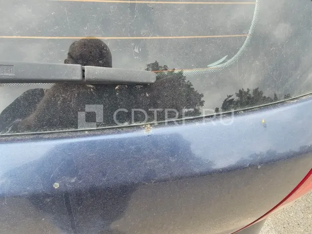 Авто Губер А03-2914/2026