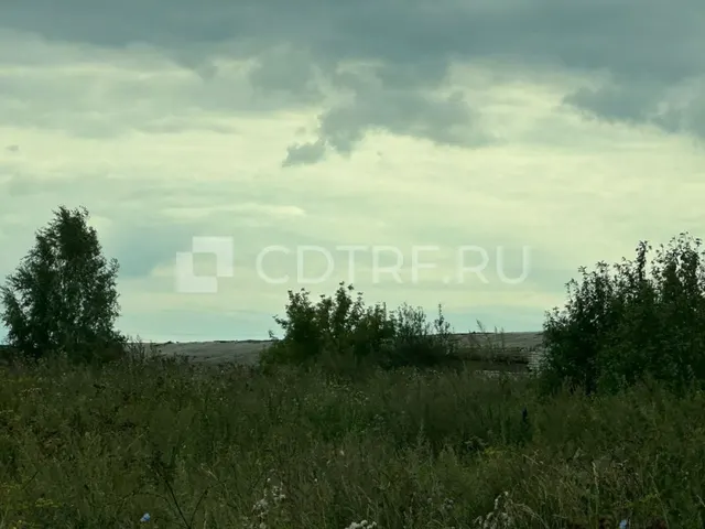 Продажа имущества сельскохозяйственной организации ООО "Наруксово Агро" (лот № 14)