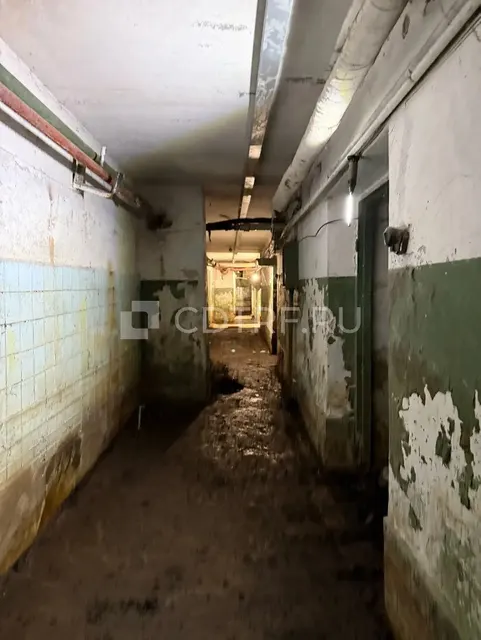 Подвальное помещение, площадь 419.7 кв. м.
