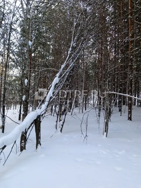 Земельный участок, кадастровый номер: 38:27:020024:503