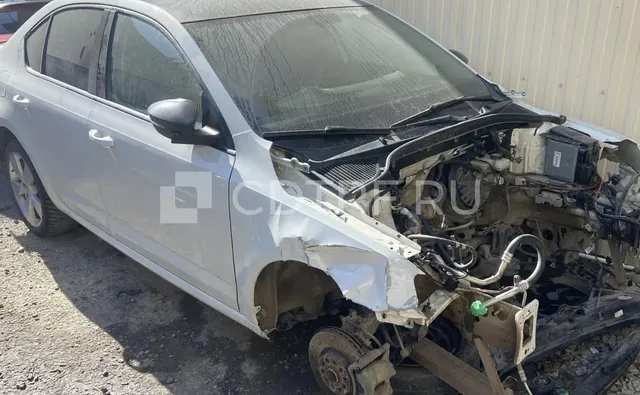 SKODA Octavia, 2019 года выпуска, VIN XW8AD6NE2LH016212