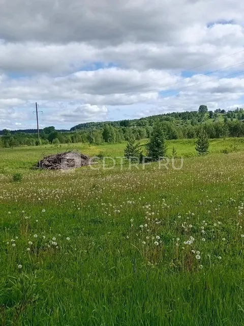 земельный участок, для ведения личного подсобного хозяйства