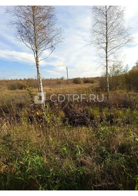 Земельный участок 24000 +/- 71.71 кв.м в Псковской обл., СП "Самолвовская волость"