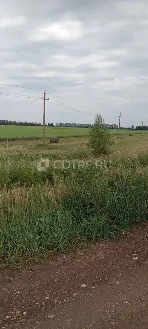 Максимов Ю.А. Земельный участок, размер доли: 1/8