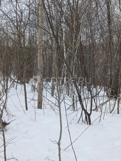 Земельный участок, площадь 860 +/- 10 кв. м. в Новосибирске.