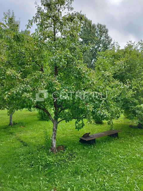 Дом и земельный участок в п. Синицыно Ленинградской области