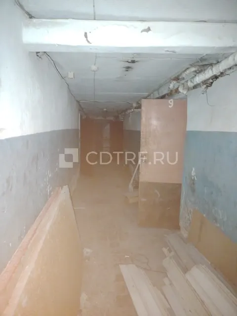 Доля в нежилом помещении Смирнов С.Г.