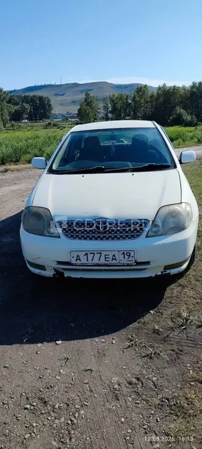 Легковой автомобиль, марка: Toyota, модель: Corolla, год изготовления: 2000 Лот №1