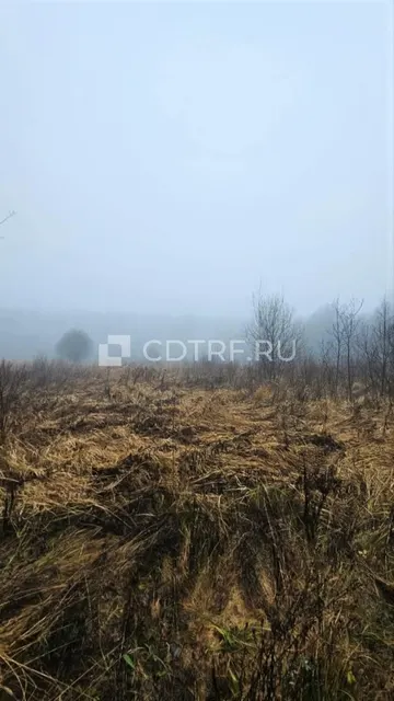 - земельный участок, с кадастровым номером: 40:01:050202:169