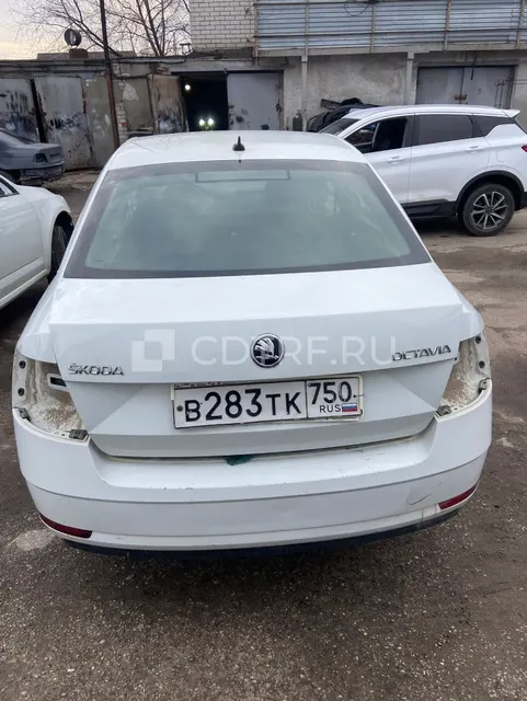SKODA OCTAVIA, 2018 г.в., VIN XW8AN2NE6KH008781