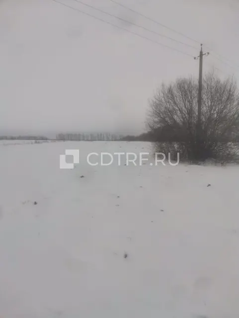 Земельный участок