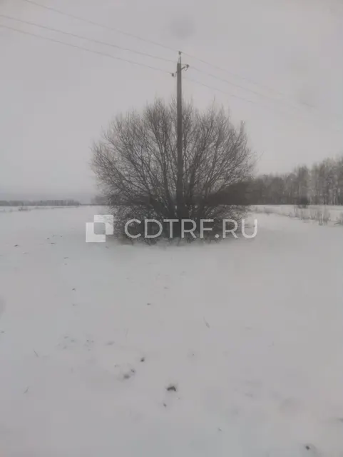 Земельный участок
