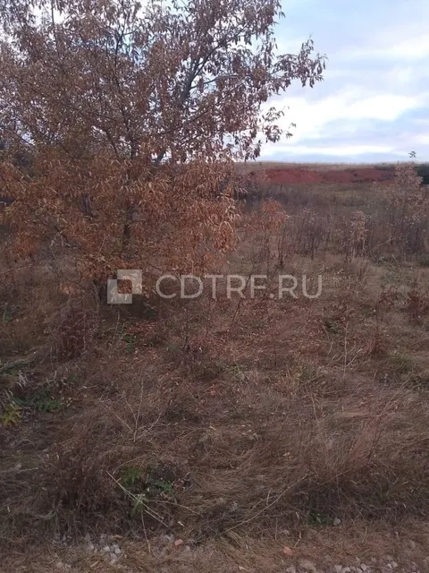 Земельный участок, площадь 1000+/-22 кв.м., кадастровый номер: 02:44:181301:11642