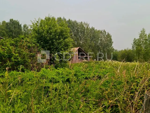 Земельный участок, 3045+/-193 кв.м., доля: 1/4; Жилой дом, 31,9 кв.м., доля: 1/4