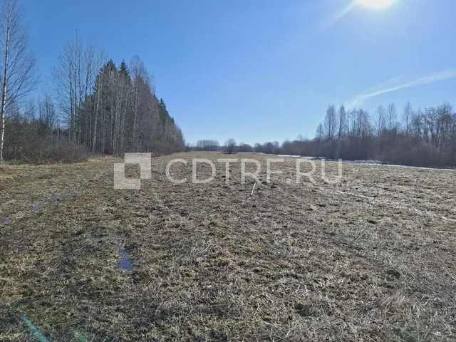 Земельный участок, адрес: Пермский край, Пермский р-н, Юго-Камское с/п, д. Пашня. Лот №1
