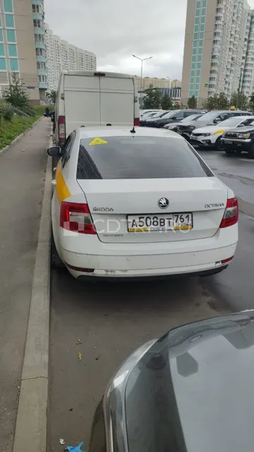 Автомобиль SKODA OCTAVIA, VIN: XW8AN2NE8LH017757, ГРЗ А508BT 761, 2019 года выпуска