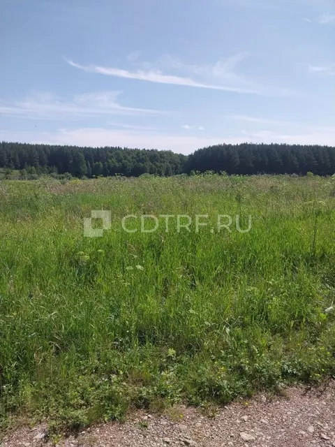 Торги по земельному участку площадью 2500 кв.м., к/н: 74:09:0805001:182, лот №2. Лот №2