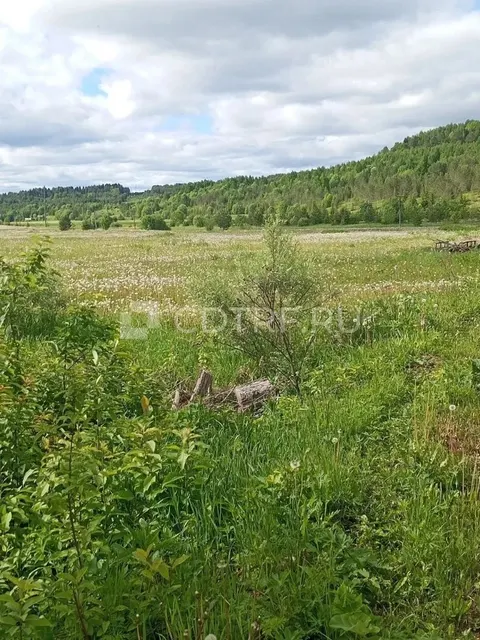 земельный участок, для ведения личного подсобного хозяйства