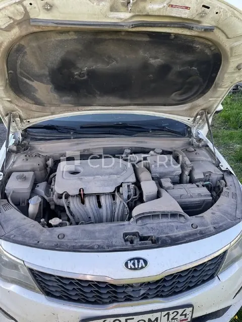Сахненко Э.М. Автомобиль марки KIA OPTIMA 2019 г. в, VIN: XWEGW413BK0012333