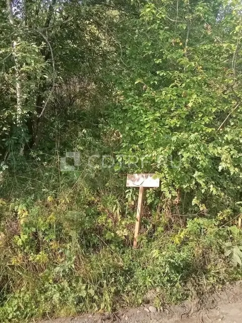 Земельный участок. Горно-Алтайск, снт Березовая роща, з/у 137