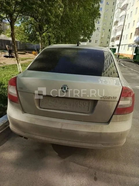 SKODA, OCTAVIA 2013 года выпуска, XW8CK41Z2DK253833