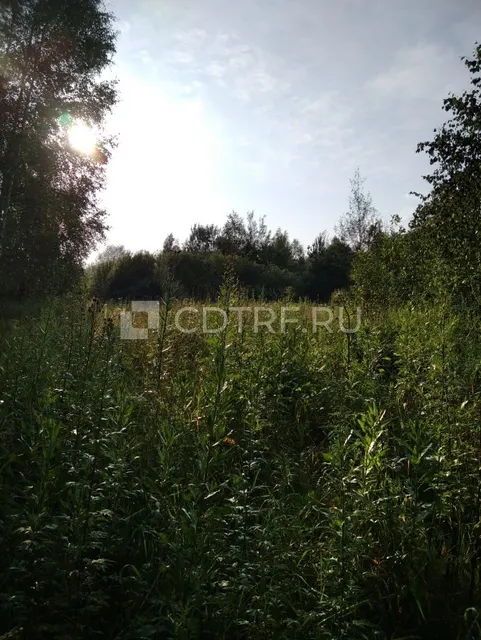Воронова Е.К. З/участок, пл. 1000 (одна тысяча) кв.м., кадастровый номер 33:11:080208:126