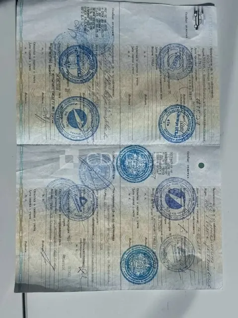 Дмитриева А.В. Легковой автомобиль, НИССАН ТЕРРАНО, VIN: Z8NHSNHGD60115461, 2018 г.в.
