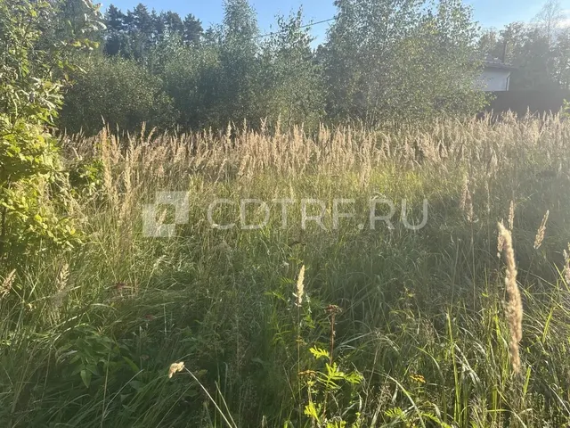 Гуреев А.В. Реализация земельного участка площадью 1500 +/- 7.75 кв. м.
