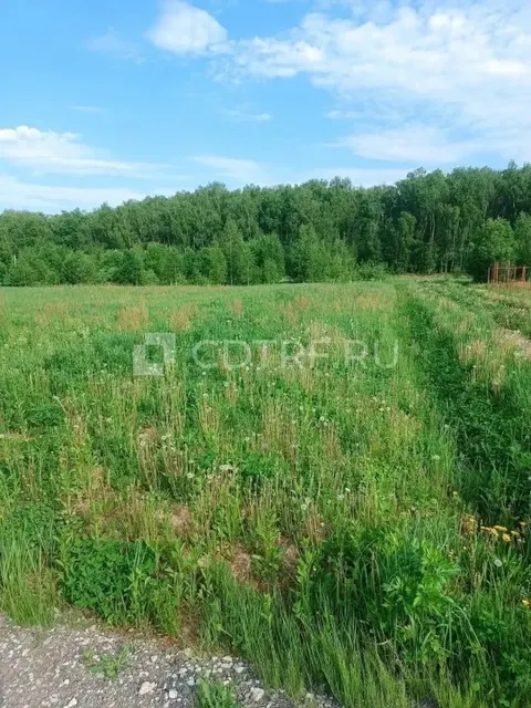 Повторные торги Сапигуллаевой С. М., зем. уч. Московская область, д. Аргуново, 700 кв.м.