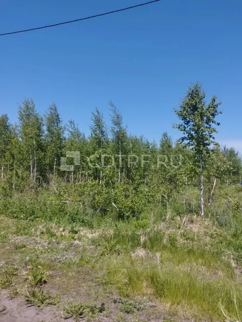 Земельный участок, площадь 937+/-11 кв.м., в Новосибирской области
