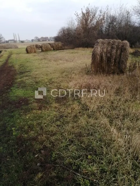 Здание жилое 36:02:0500003:71, Земельный участок 36:02:0500003:100