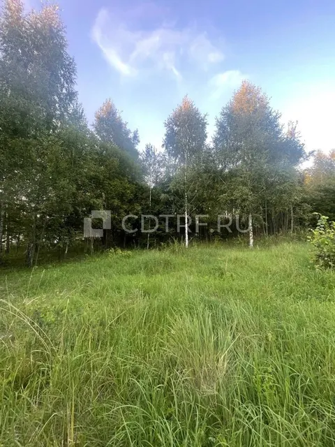 Земельный участок, СНТ РОДНИК, пл 600+/-17.14 м2, к.н. 16:15:121401:414