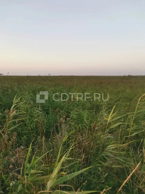 Земельный участок, площадь 531+/-8 кв.м., в Краснодарском крае