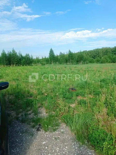 Повторные торги Сапигуллаевой С. М., зем. уч. Московская область, д. Аргуново, 700 кв.м.