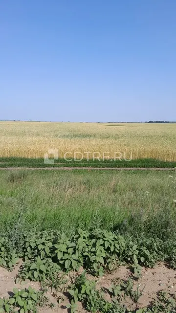 Земельный участок в Оренбургской области