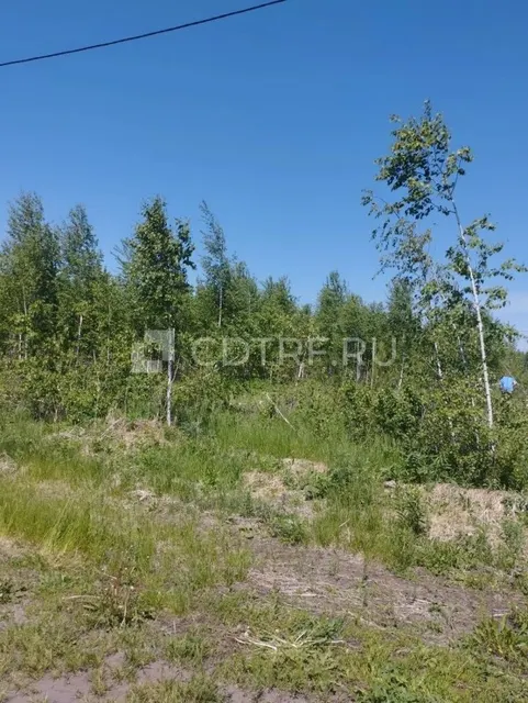Земельный участок, площадь 937+/-11 кв.м., в Новосибирской области