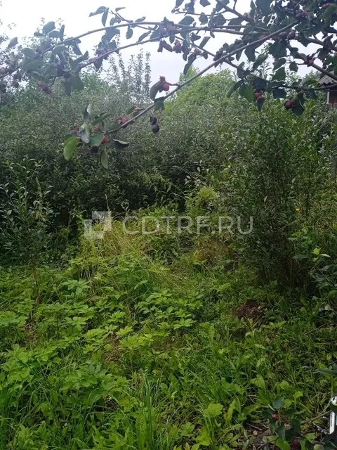 Земельный участок, площадь: 885 +/- 6 кв.м, кадастровый (условный) номер:...