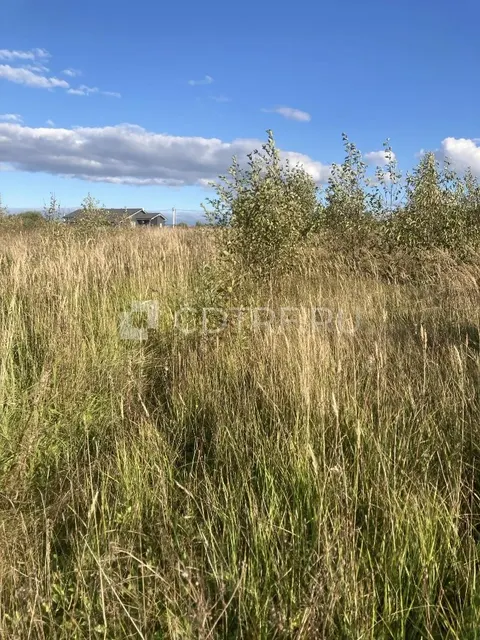 Земельный участок 1055 кв.м. в Московской области, р-н Шаховской, д. Воскресенское