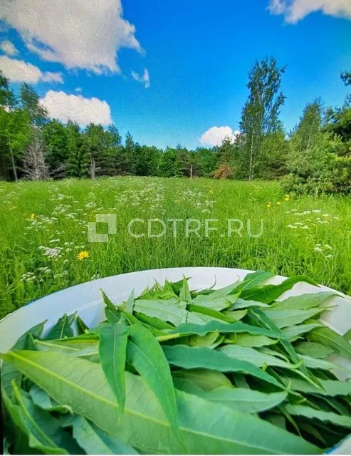 Земельный участок 64000 +/- 88 кв.м. в Вологодской области, р-н Устюженский