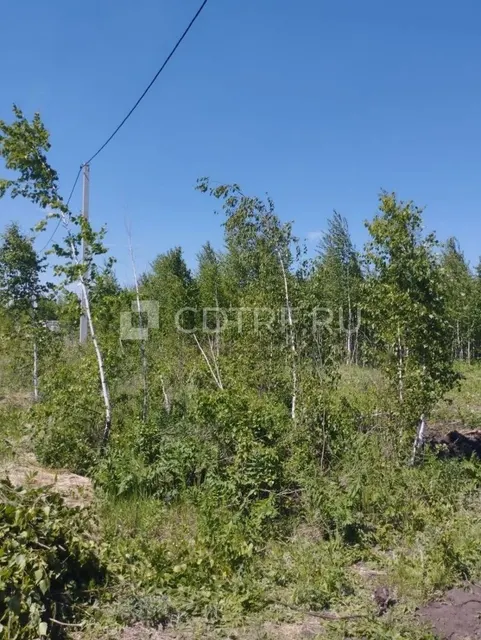 Земельный участок, площадь 937+/-11 кв.м., в Новосибирской области