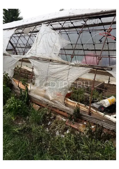 Земельный участок, площадь 1081 +/- 8 кв.м., адрес: ХМАО, г Нижневартовск