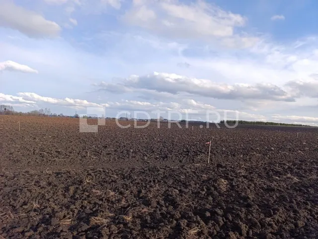 Земельный участок, кадастровый номер: 18:16:086001:1430 (повторные торги)