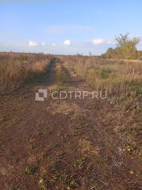 Карапетян Д.А. Земельный участок, (село Черноречье, кадастровый номер: 63:17:0803008:3666)