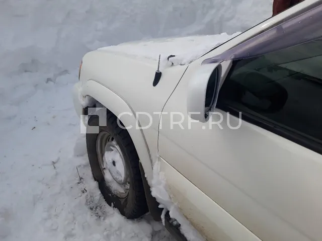 Автомобиль NISSAN TERRANO год выпуска: 1999