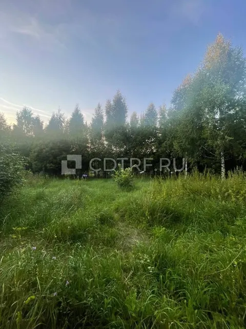 Земельный участок, СНТ РОДНИК, пл 600+/-17.14 м2, к.н. 16:15:121401:414