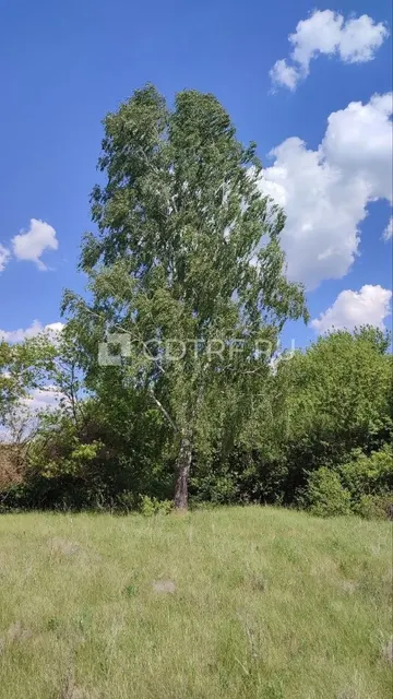 Лот№1. Балашов С.В. Жилой дом с земельным участком. Курская обл.