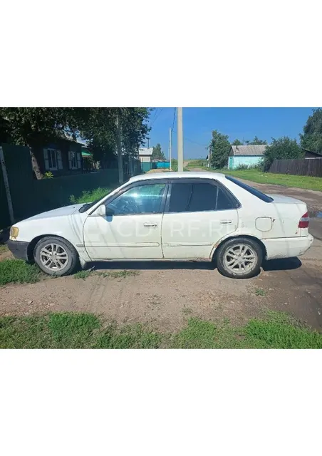 Русинов. Лот 1. Автомобиль: TOYOTA COROLLA (1997 г.в. Кузов №: AE110 5195076)