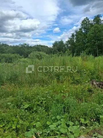 Земельный участок с кадастровым номером 50:08:0090227:137, общей площадью 600 кв.м