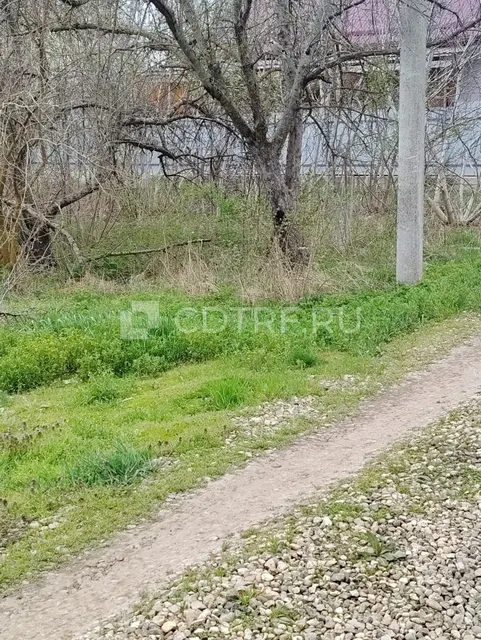 Сасюк Николай Николаевич Лот №1