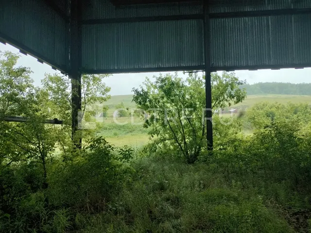 Сооружение сельскохозяйственного производства. Степень готовности объекта...